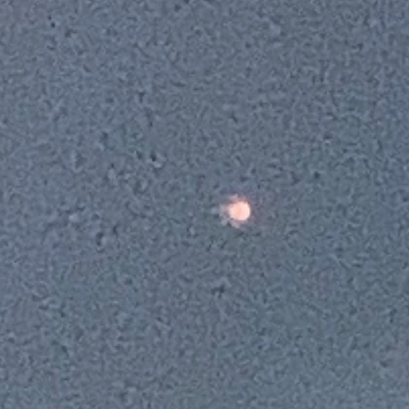 Meet your Posher, Laura - Picture 1 of 1